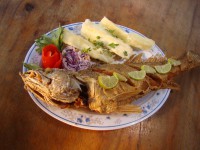 /album/fotogaleria-inicio/bocachico-frito-jpg/